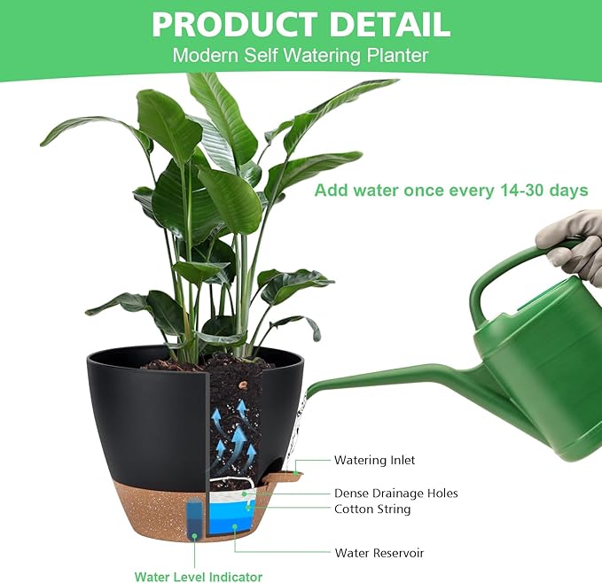 Self Watering Planter Set with Visual Water Level, 6Pack Small Plastic Pot with Drainage Holes and Reservoir Saucers, Modern 8+7+6.5+6+5.5+5 Inch Bottom Watering Flower Pots for Indoor Plant - Black