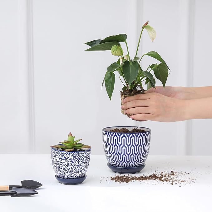Selamica Ceramic Succulent Pots, 3.5 Inch Small Plant Pots for Indoor Plants Cactus Herbs, Succulent Planters with Drainage Holes & Saucers, Home Decor, Set of 6, Vintage Blue
