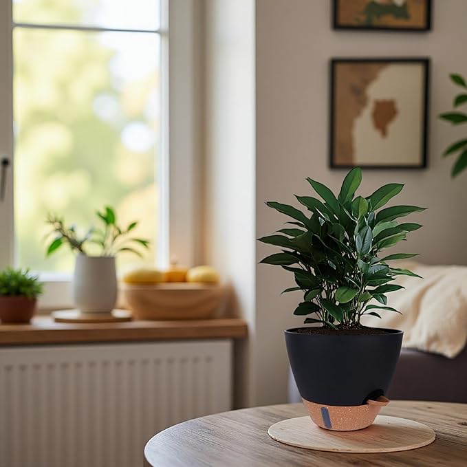 Self-Watering Plant Pots for Indoor Plants: 8/10/12 Inch Large Plastic Planter with Water Level Indicator, Drainage Holes & Deep Reservoir, Modern Decorative Flower Pot (Black)