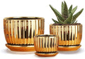 Ton Sin Gold Plant Pots,4.1+5.1+6.5 Inch Ceramic Succulent Planters Set of 3 Mini Indoor Flower Pot with Drainage,Handmade Decorative Ceramic Orchid and Herb Pots(Gold)