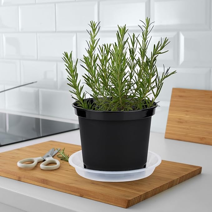 GREANER Plastic Garden Pots, 8 Inch Nursery Pots for Indoor Outdoor Plants, Black Plastic Planters for Planting Seeds, Flower, Succulent(Pack of 10)