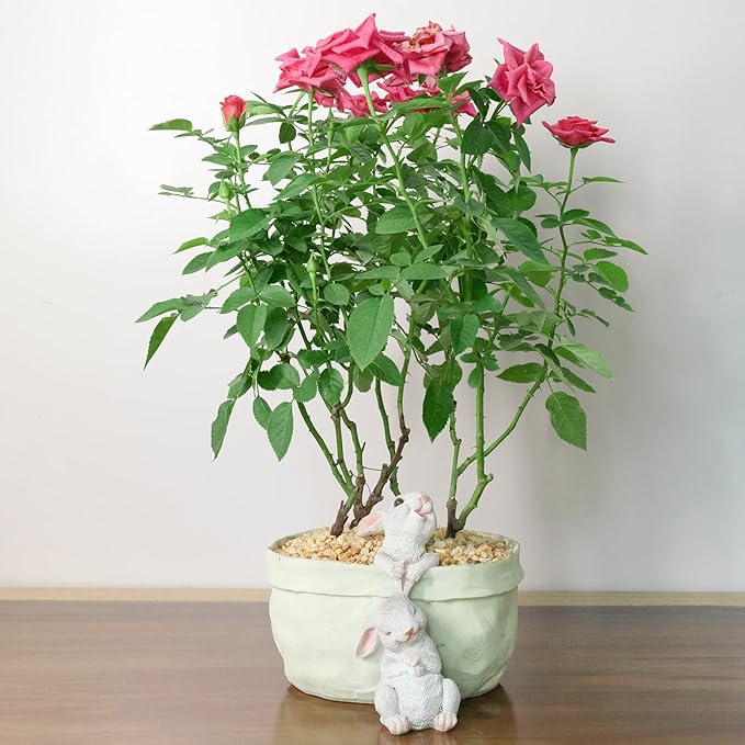 Rabbit Flower Pot Succulent Planter Garden Pots,Decorative Flower Pot,Bunny Pot Resin Containers,Animal Shaped Cartoon Planter Pots,Art Decorations(No Drainage Hole)