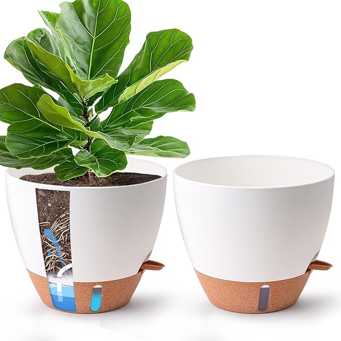 2 Pack 10 Inch Self Watering Pots - Water Level Indicator & Deep Reservoir, Mess-Free Planter for Busy People, Beginners & Gardeners, Fiddle Leaf Fig, Monstera, ZZ Plants, Indoor Outdoor Use (White)