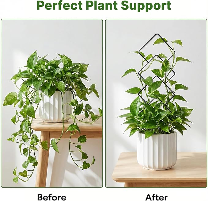 Indoor Trellis for Climbing Plants: 3PC Small Garden Metal Trellis for Vine Ivy Hoya Houseplants Flower Potted Plant Outdoor