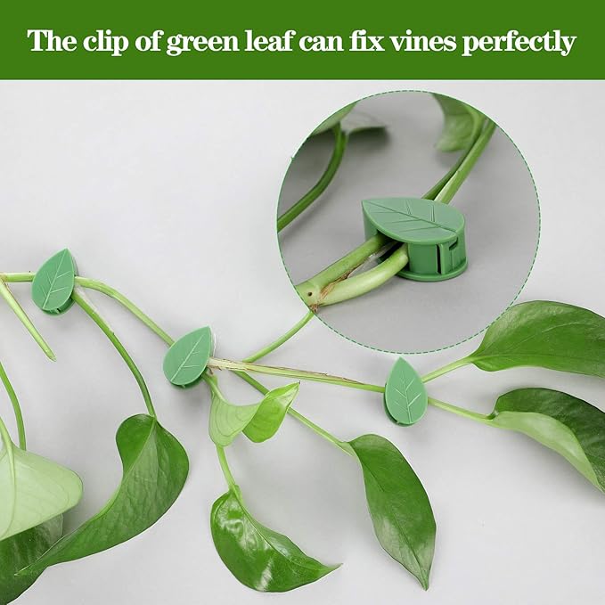 Geiserailie 60 Pieces Plant Climbing Wall Fixture Clips with 72 Pieces Acrylic Adhesive Sticker Leaf Fixer Invisible Wall Vines Fixing Clips Hook Plant Vine Traction for Indoor Outdoor Decoration
