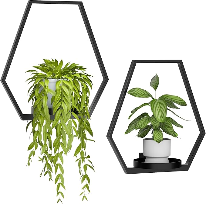 Wall Planters for Indoor Plants, Plant Frames Wall Decor Living Room Plant Stand Hanging Wall Plants Holder to Hold Large Pots Wall Plant Hanger Window Plant Shelves for Outdoor Entryway
