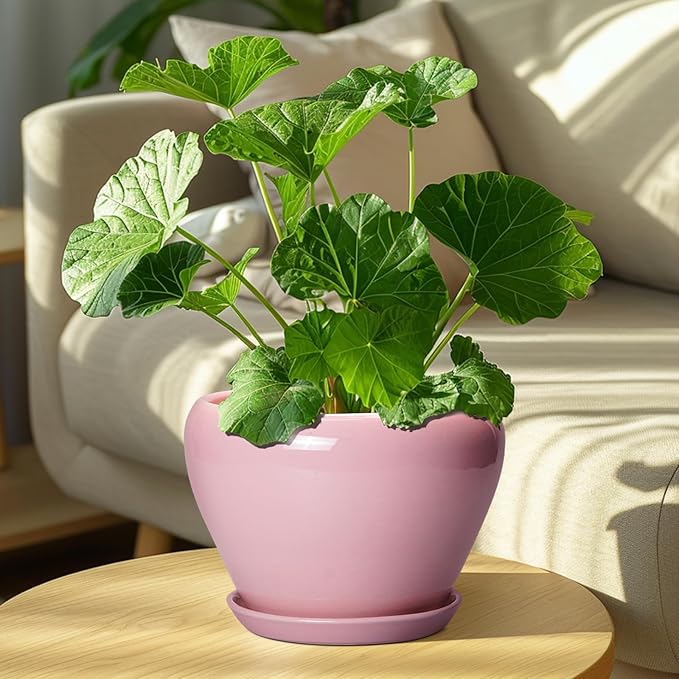 Ceramic Modern Glaze Succulent Planter Pot with Drainage Hole and Saucer 8 Inch Round Flower Plant Pot for Indoor Outdoor Herb Snake Plants, Pink