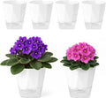 6 Pack Self Watering Pots for Indoor Plants, 5 Inches Self Watering Planters Small African Violet Self Watering Clear Pots for Plants Herb Orchid Flower Houseplant Pots, White