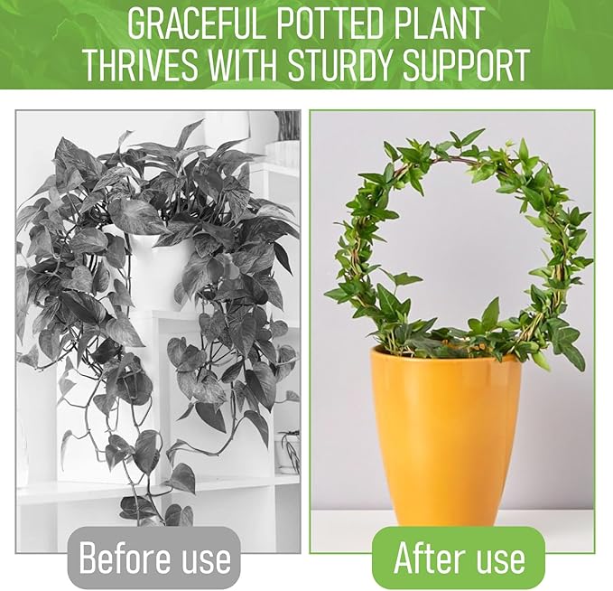 2 Pack Round Plant Trellis for Indoor Potted Plants, Acrylic Small Trellis for Climbing Plants Indoor Outdoor Plant Support for Hoya Pothos Vine Ivy Monstera Flower Philodendrons Dischidia