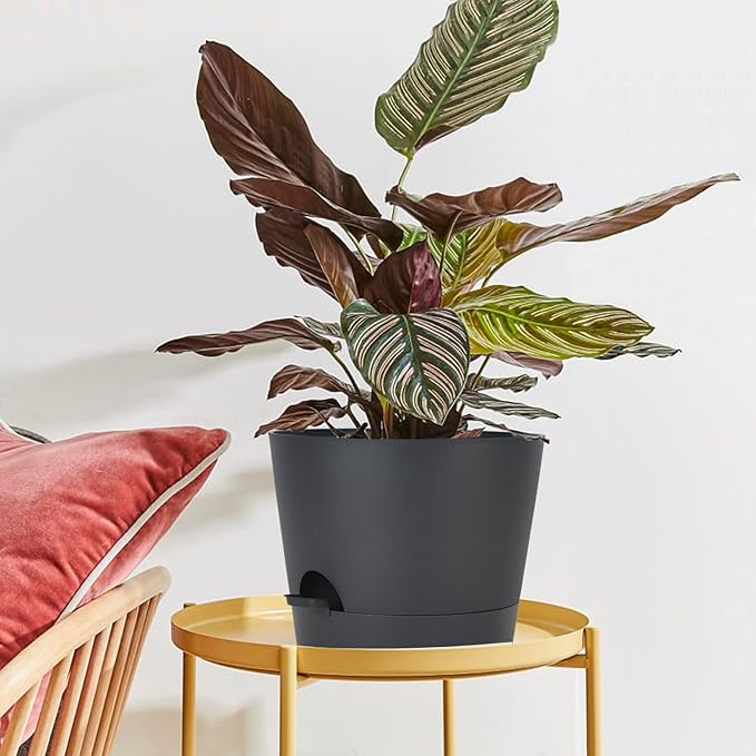 12inch Large Self Watering Plant Pot, Plastic Cylinder Planter with 60Oz Deep Reservoir and Saucer for Indoor Outdoor Plants Flowers Houseplants, Black