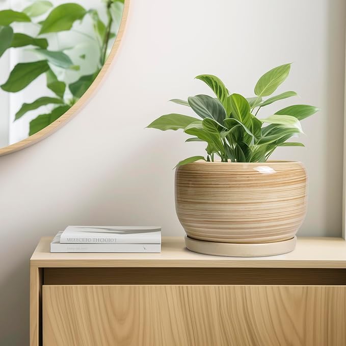 SQOWL Ceramic Plant Pot - 10 Inch Large Planter with Drainage Hole and Saucer, Round Modern Planter for Indoor Plant Outdoor, Decorative Ceramic Flower Pot, Porch Decor, Garden Gift for Women, Yellow