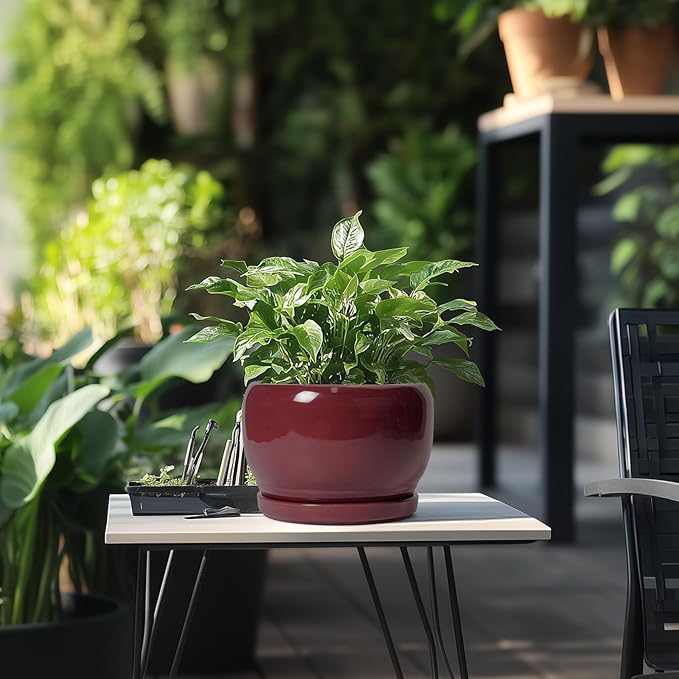 SQOWL Ceramic Planter - 8 Inch Plant Pot with Drainage Hole and Saucer, Round Planter for Indoor Outdoor Plants, Modern Decorative Flower Pots, Home Decor, Plant Lover Gifts, Red