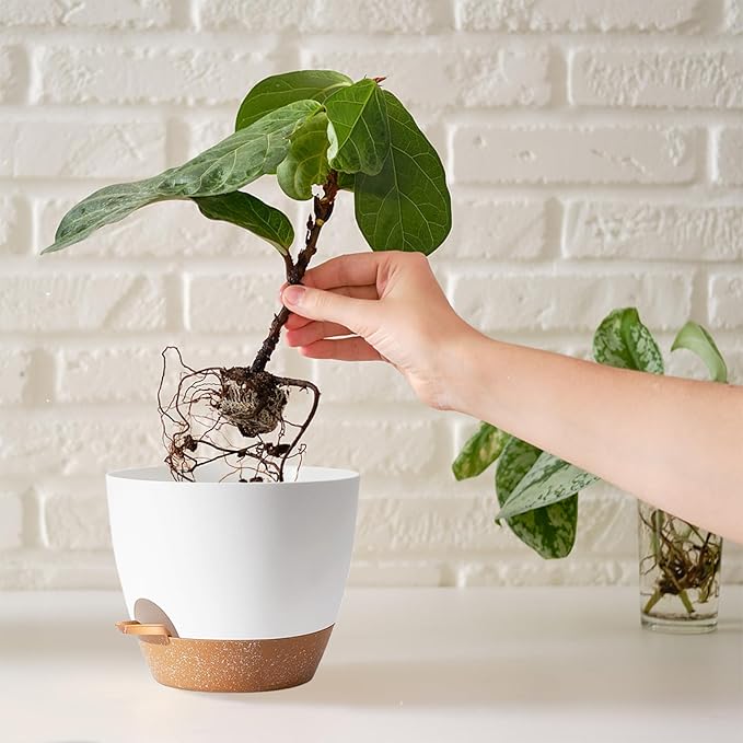 Indoor Plant Pots for Lazy People, 5Pack White Plastic Self Watering Planter Pots for Houseplants,Succulent, African Violets,Snake Plants, Flowers and Cactus(7/6.5/6/5.5/5 Inch)