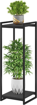 2-Tier Plant Stand Indoor, 34" Tall Modern Plant Shelf Corner Flower Pot Holder Organizer for Living Room Balcony Garden, Black
