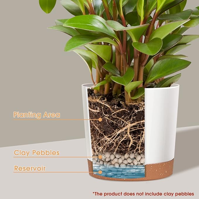 kubvici Plant Pots for Indoor Plants, 2 Pack 10 Inch Plant Pot Plastic Flower Pots Planters with Drainage Saucer for Indoor Outdoor Garden Home (10" White)
