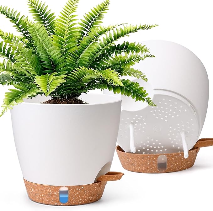 T4U 2 Pack 8 Inch Self Watering Pots - Water Level Indicator & Deep Reservoir, Mess-Free Planter for Busy People, Beginners & Gardeners, Pothos/Herbs/Snake Plants, Indoor Outdoor Use (White)