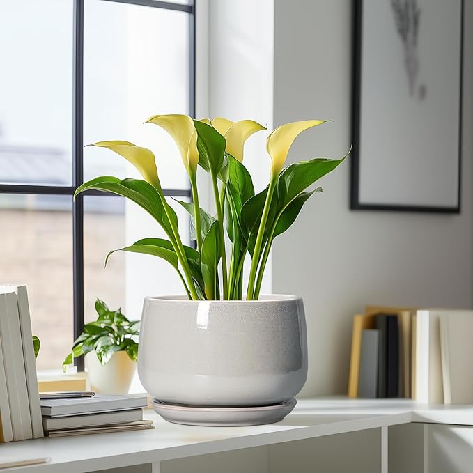 G EPGardening Ceramic Plant Pots - 9 Inch Ceramic Planters for Indoor Outdoor Plants, Modern Flower Pots with Drainage and Saucer, Round Planter, Garden Home Decor, Plant Lover Gifts, Light Grey