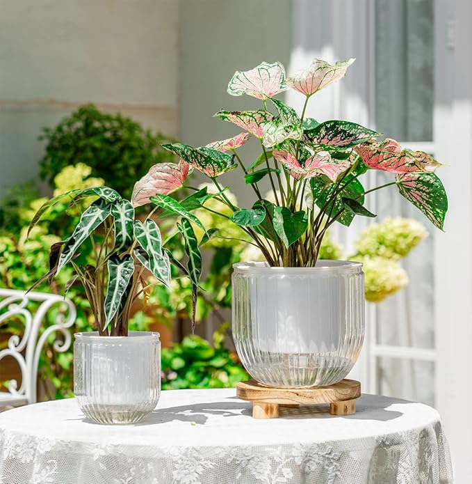 Melphoe Self Watering Pots for Indoor Plants Planter, 8.3/5.3 Inch 2 Pack Planters Self Watering Plant Pots for Flower, Houseplants, Succulent, African Violets and Cactus with Drainage