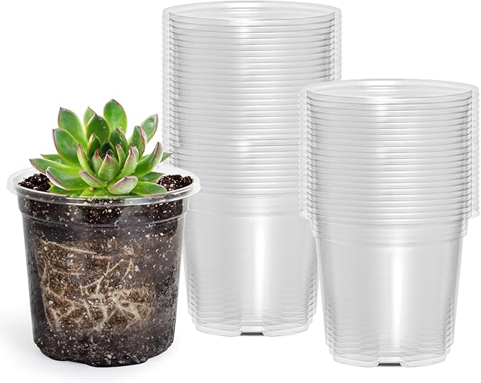 60 Packs 3.5 Inch Reinforced Clear Nursery Pots with Drainage Holes, Transparent Plastic Plant Pot Seedling Planter for Vegetable Propagation, Root Cutting, Seed Starting