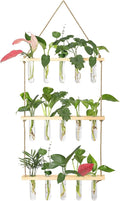 XXXFLOWER Wall Hanging Propagation Station with Wooden Stand 5 Glass Test Tubes 3 Tiers Planters Wall Terrarium for Home Office Plant Hanger Flower Vases Wall Decor Hydroponic Cuttings