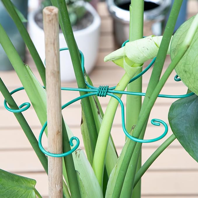 Monstera Plant Stem Support 5 Pcs - 7.5” Indoor Plant Stabilizer Holder for Monstera & Climbing Plants - Durable, Lightweight, Easy to Use for Optimal Growth & Stability - Home Décor Friendly