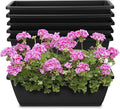 Window Box Planter, 6 Packs 17 Inches Rectangle Planters Box with Drainage Holes and Trays, Vegetable Planters for Windowsill Patio Garden Home Decor Porch Yard Dark Gray
