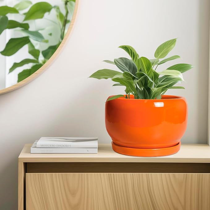 SQOWL Ceramic Planter - 10 Inch Plant Pot with Drainage Hole and Saucer, Round Modern Planter for Indoor Outdoor Plants, Decorative Large Flower Pot, House Decor, Gifts for Women Men, Orange