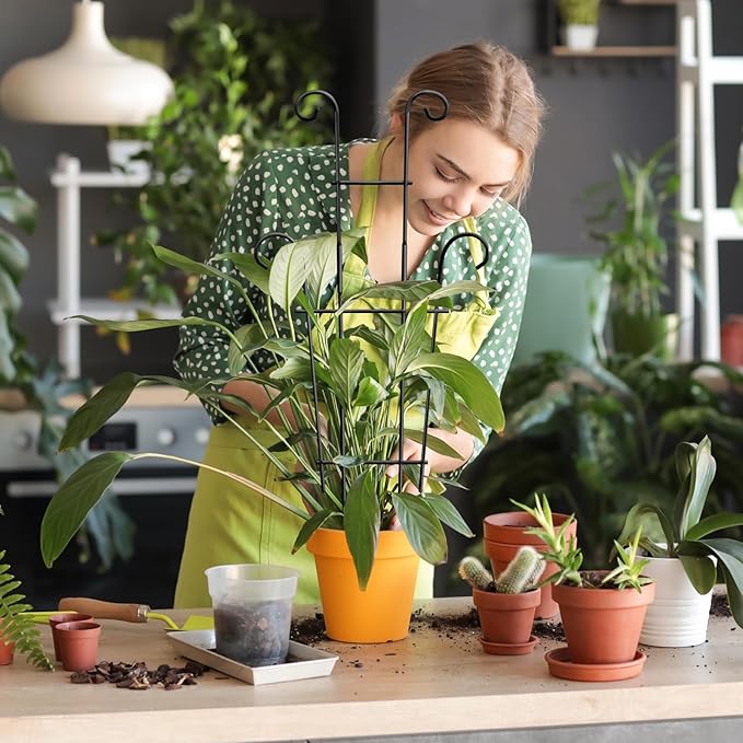Coomin 23in Taller Plant Trellis for Climbing Plants Indoor, 4P Sturdy Houseplant Trellis for Potted Plants with Ties, Vine Plant Support for Monstera Pothos Ivy, Plant Decor