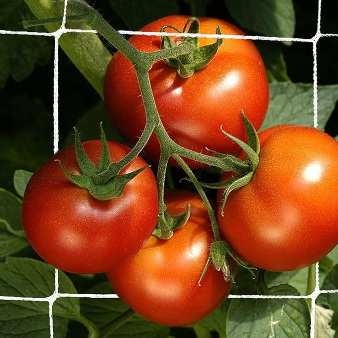 Trellis Netting, CANAGROW Heavy-Duty Garden Plant Trellis Netting for Climbing Plants, Outdoor Indoor Grow Net for Beans Tomatoes Peas Pumpkin Flowers, 𝟔 𝐱 𝟑𝟎𝐟𝐭, 𝐏𝐚𝐜𝐤 of 4