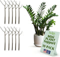 Mini Twigs Plant Support Stakes for Small Plants, Indoor & Outdoor Use, Gardening Supplies, Garden Accessories, Trellis & Ring Alternative, Made in USA - Moonstone, 10 Pack, 12" L