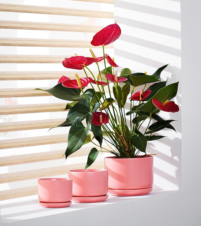 Ton Sin Ceramic Plant Pot with Drainage Hole and Saucer for Indoor Plants, Decorative Round Flower Pot for House Plants, Succulent Orchid Planter(Matte Orange)