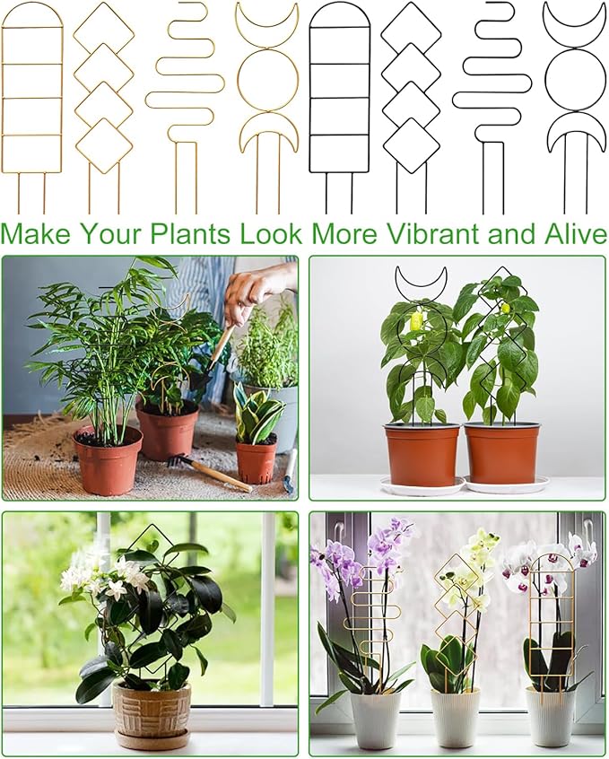 4 Pack Indoor Climbing Plant Trellis, Small Trellis for Potted Plants Outdoor, Metal Garden Trellis Plant Support Trellis with Different Patterns for Vine Ivy Flower (Black)
