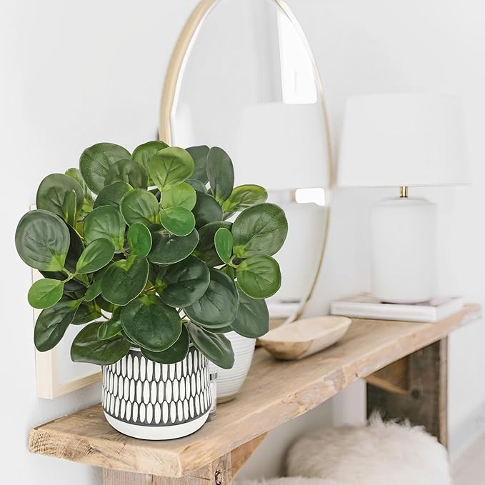 12" Artificial Plants Indoor Small Fake Plant in Ceramic Pot, Silk Plants for Home Decor Indoor, Faux Peperomia Potted Plant for Shelves, Desks, Home, Room, Office, Bedroom, Entryway, Tabletop Decor