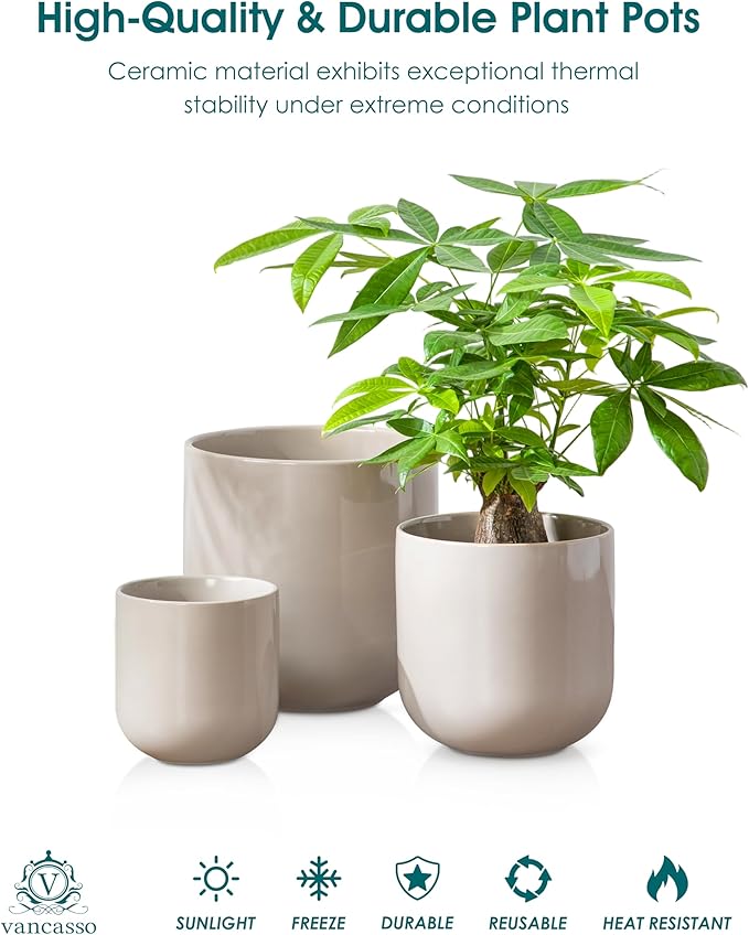 vancasso 6+8+10 inches Ceramic Plant Pots, Set of 3, Planters with Drainage Hole, Flower Pots Planters Pots for Indoor Plants, Modern Indoor Decorative Garden Pot, Home Decor, Gray