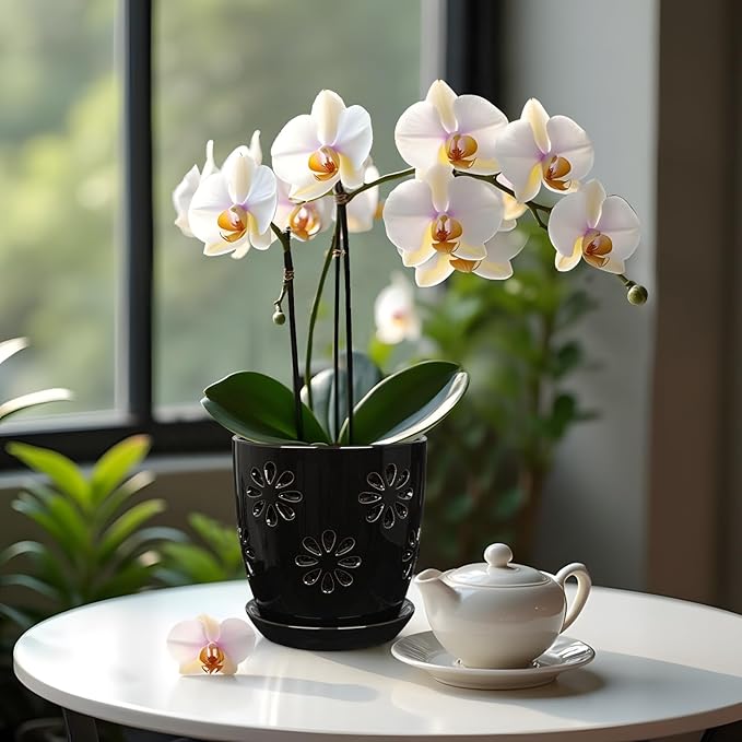 Oairse 6 inch Orchid Pots with Holes, Black Ceramic Orchid Pot for Repotting Small Indoor Plant Pots with Drainage Holes and Saucers Decorative Flower Planter for Orchids, Indoor Plant