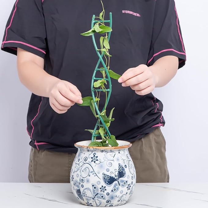 Indoor Plant Trellis - DNA Spiral Design Metal Trellis for Potted Plants, Stylish Climbing Support for Small Houseplants, Durable & Easy to Install Garden Upgrade for Vining Plants