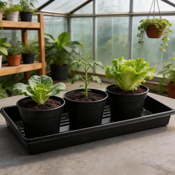 50 Pack 6 Inch Nursery Pots, Plastic Flower Pots, Thick Plant Pots with Drainage Hole for Planting Outdoor/Indoor Plants Succulent Herb (Black)