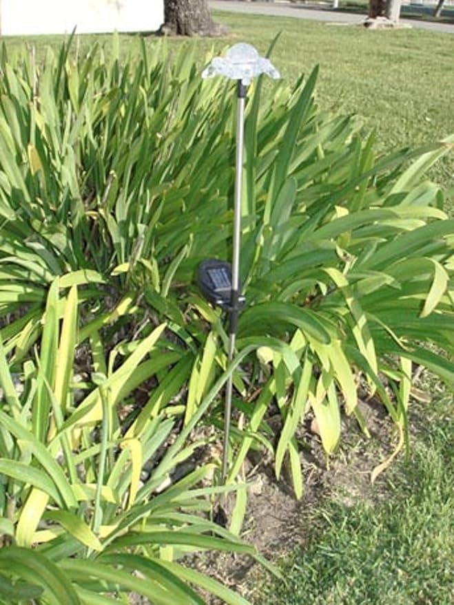 Solar Garden Stake Lights with Color Changing LED or Regular White LED Landscape Path Lights (Set of 2) (Turtle)