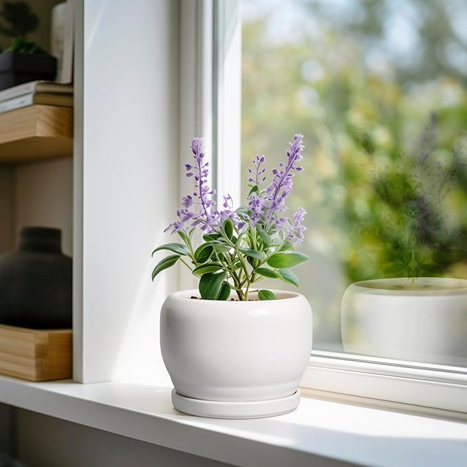 SQOWL Ceramic Flower Pots - 6 Inch Plant Pot Indoor Outdoor, Ceramic Planter with Drainage Hole and Saucer, Modern Round Succulent Planter, Bookshelf Decor, House Warming Gifts New Home, White
