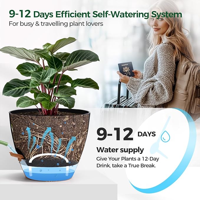 2 Pack 10 Inch Self Watering Pots - Water Level Indicator & Deep Reservoir, Mess-Free Planter for Busy People, Beginners & Gardeners, Fiddle Leaf Fig, Monstera, ZZ Plants, Indoor Outdoor Use (Black)