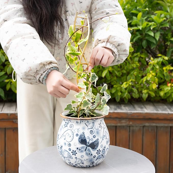 Indoor Plant Trellis for Potted Plants - Durable Metal Climbing Trellis with Unique DNA Spiral Design for Vining Plants, Easy Installation for Indoor & Outdoor Use