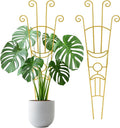 33 Inch Tall Expandable Metal Trellis for Potted Plants, Rustproof Expandable Indoor Outdoor Plant Support Trellis for Climbing Plants, Monstera, Ivy, Hoya with Sturdy Weighted Base (Gold)