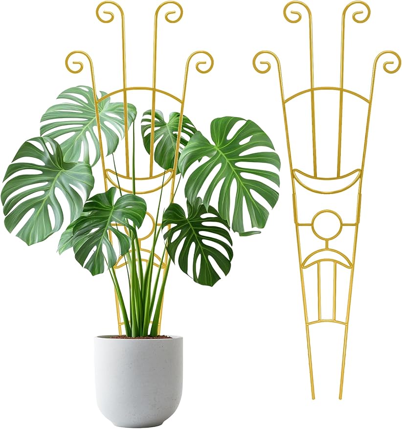 33 Inch Tall Expandable Metal Trellis for Potted Plants, Rustproof Expandable Indoor Outdoor Plant Support Trellis for Climbing Plants, Monstera, Ivy, Hoya with Sturdy Weighted Base (Gold)