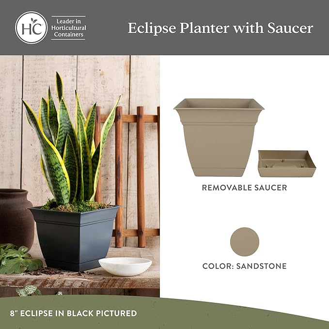 The HC Companies Eclipse Square Plastic Planter w/Attached Saucer - Outdoor & Indoor Plant Pot with Drainage Holes - Lightweight, UV-Resistant Plastic Pots for Plants (8" Sandstone, Pack of 1)