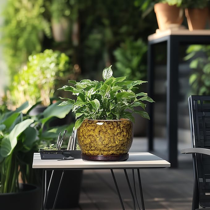 SQOWL Ceramic Flower Pots - 8 inch Ceramic Planter for Indoor Plants, Decorative Plant Pots with Drainage Hole and Saucer, Round Planter Outdoor, Porch Backyard Decor, Housewarming Gifts, Yellow