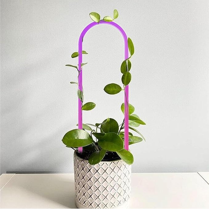 3 Pack Colorful Acrylic Plant Trellis for Indoor Plants, U-Shaped Small Plant Trellis for Potted Plants, Waterproof Climbing Support for Vine Ivy, Hoya, Pothos, Home Garden Decor