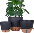 Self-Watering Plant Pots for Indoor Plants: 8/10/12 Inch Large Plastic Planter with Water Level Indicator, Drainage Holes & Deep Reservoir, Modern Decorative Flower Pot (Black)