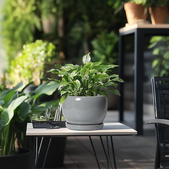 SQOWL Ceramic Pot for Plants - 8 Inch Plant Pot Indoor with Drainage Hole and Saucer, Round Planter Outdoor, Decorative Modern Planter for Flower, Bedroom Decor, Plant Lovers Gifts, Gray