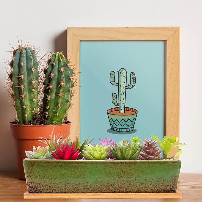 Succulent Pots - Large Succulent Planter Pots with Drainage, 12 Inch Long Rectangle Bonsai Pot with Bamboo Tray Shallow Ceramic Cactus Flower Planter Window Box for Home Garden Decor (Green)
