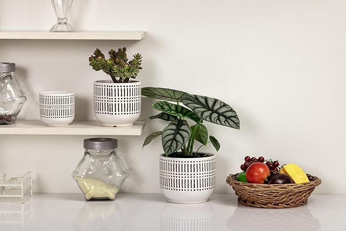 Docrin 3-Pack Ceramic Planters Set - 6.5"+5.3"+4" Dual-Tone Flower Pots with Drainage Holes, Modern Indoor Outdoor Planters for Succulents/Herbs/Large Plants, Home Office (Brownish Black & White)